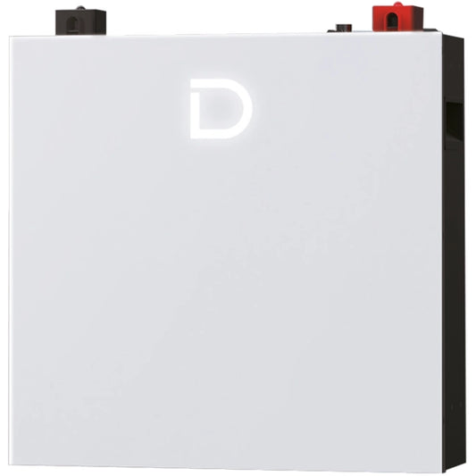 Аккумуляторная батарея Dyness DL5.0C Pro 51.2V 100Ah 5.12kWh LiFePo4 (DL5.0C Pro)