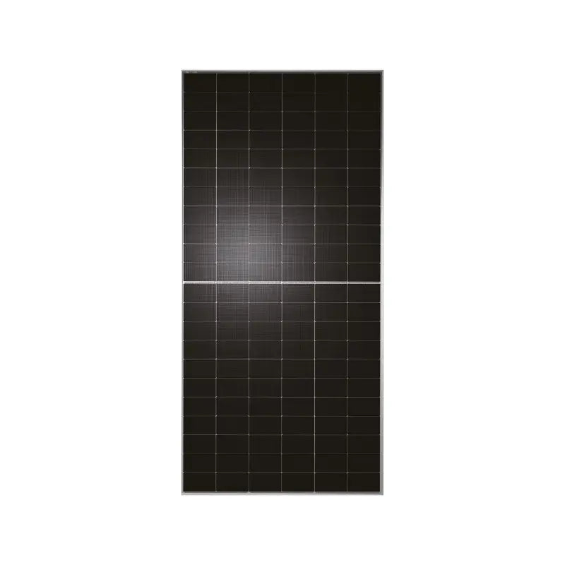 Сонячна панель TW Solar TWMNH-66HD620 Bifacial, 620Вт